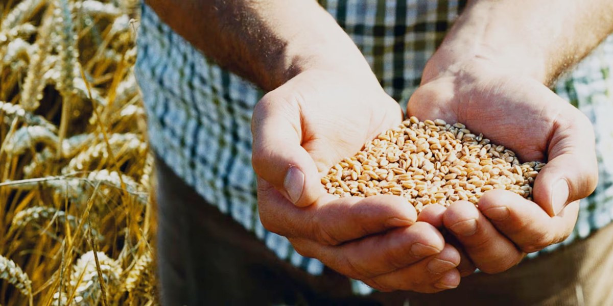 Préstamos con aval SAECA de BBVA, financiación para el sector agrario sin hipoteca